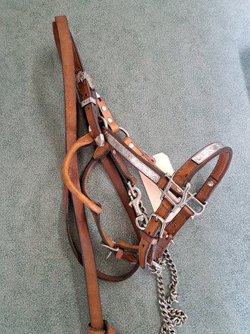 Silver Show Halter