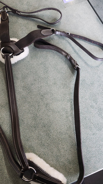XF Equinavia saga 5-Point Breastplate