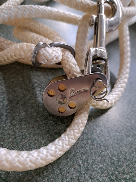 Pessoa Lunging System