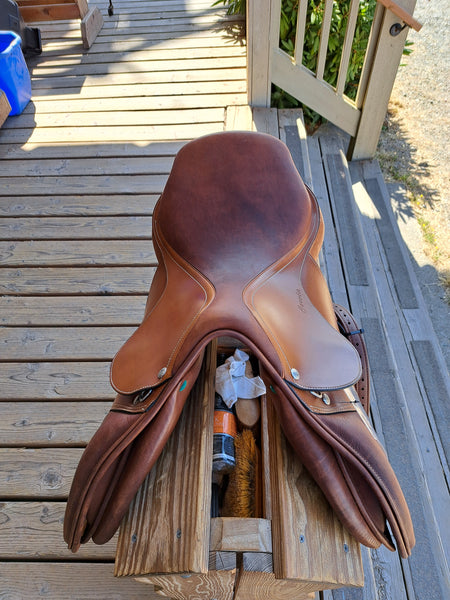 16.5" Amerigo Cervia Jump Saddle