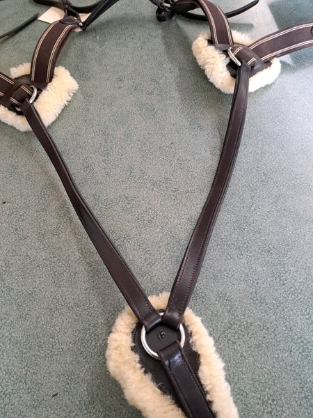 5 Point Breastplate