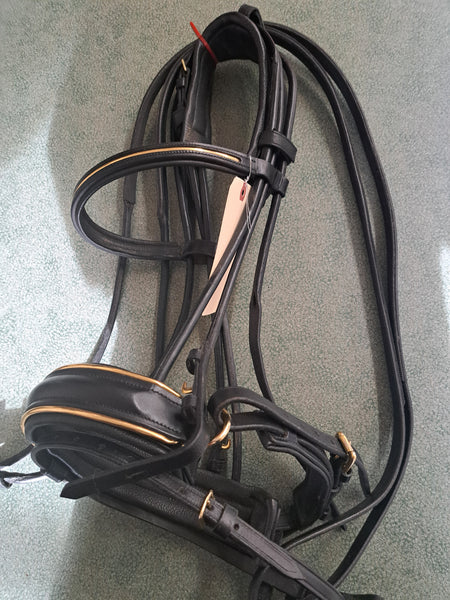 Dressage Bridle