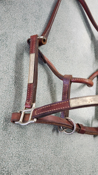 Champion Turf Show Halter