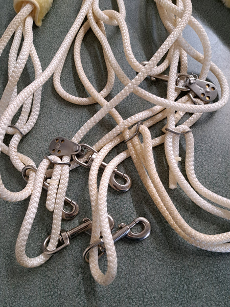 Pessoa Lunging System