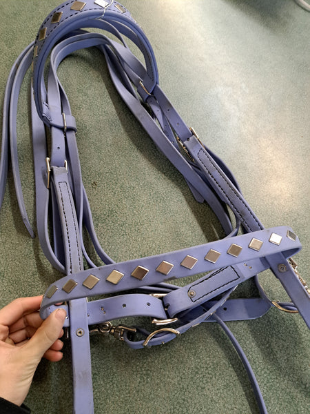 Biothane Bitless Bridle Set