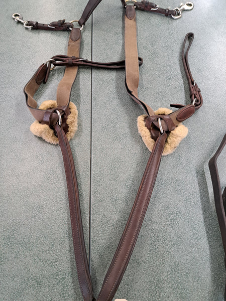 5 Point Breastplate