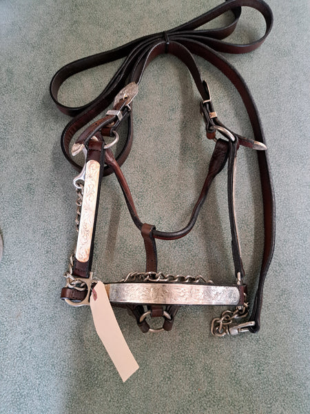 Circle Y Show Halter
