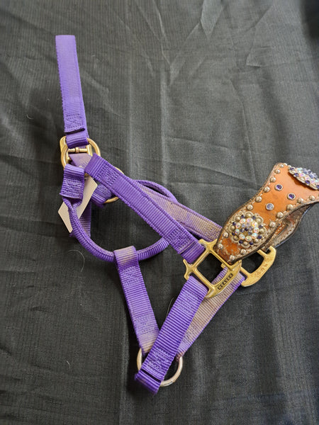 Bronc halter