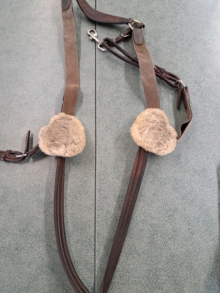 5 Point Breastplate
