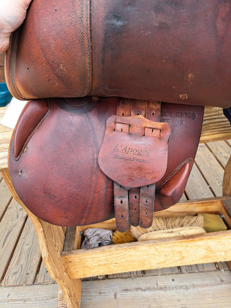16" L'Apogee LX1 Jumping Saddle