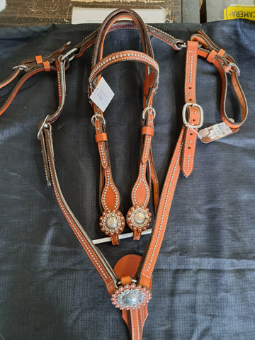 Absolutely Matching headstall and breast collar set