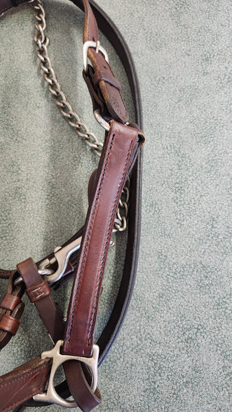 Circle Y Halter W/ Lead