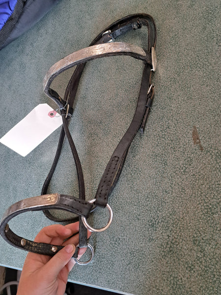 Arab Show Halter