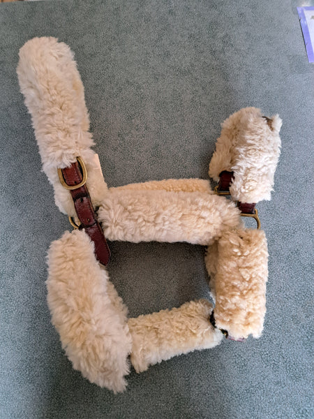 Warmblood Shipping Halter