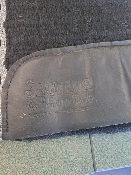Saguaro Saddle Blanket