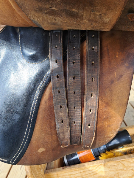 16.5" Courbette Classic All Purpose Saddle