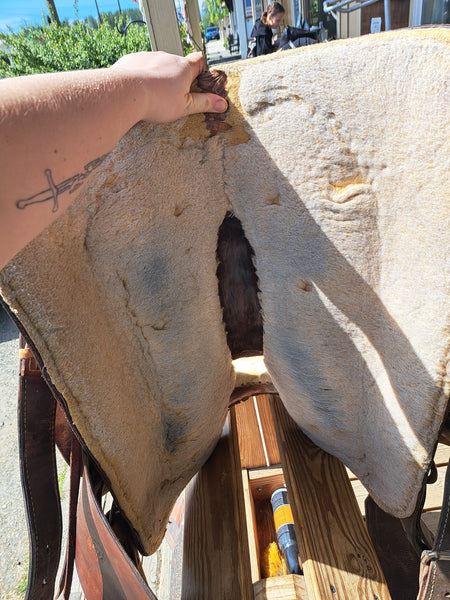16" Billy Cook Roper Saddle