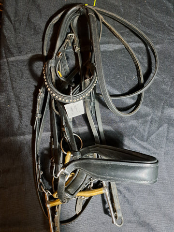 Double bridle