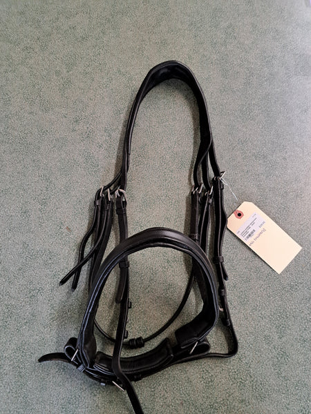 Oversized Lumiere Dressage Bridle