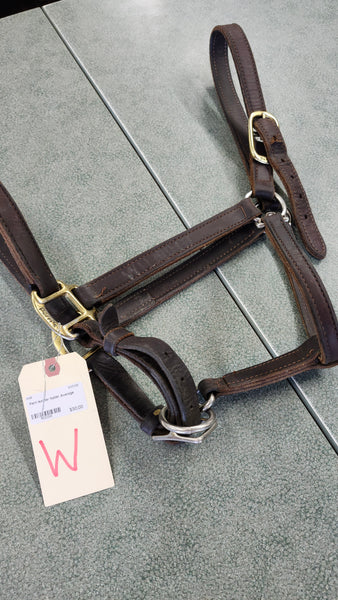 Perri Leather Halter