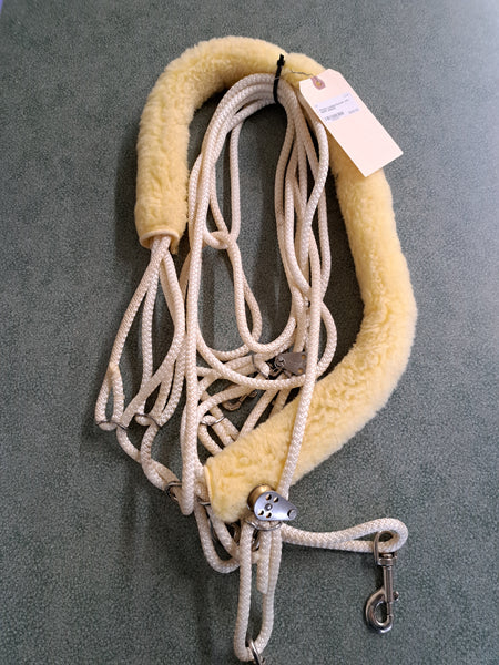 Pessoa Lunging System