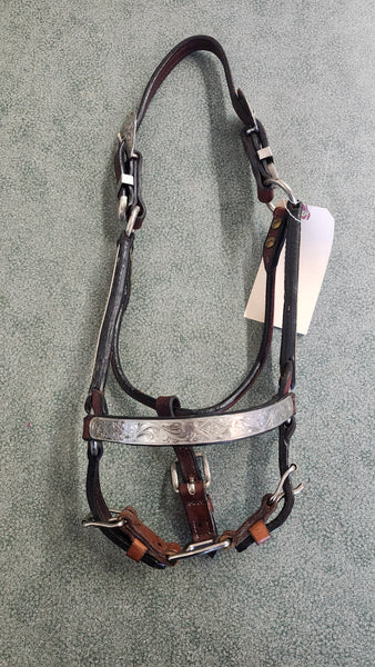 YEARLING Dale Chavez Show Halter