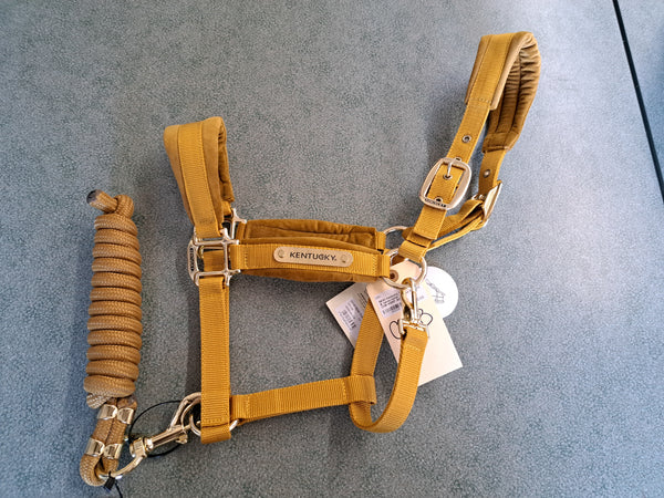 New Kentucky Equine Halter & Lead