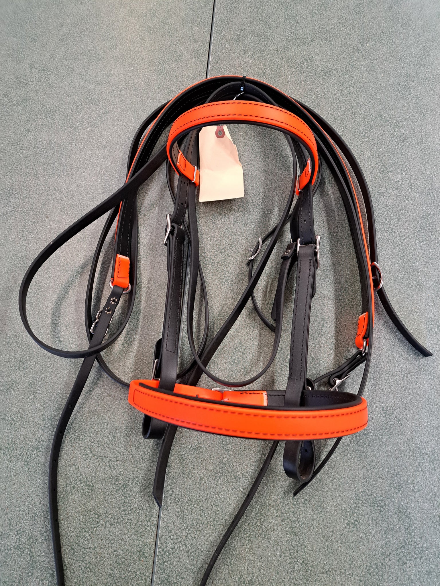 Biothane Bridle