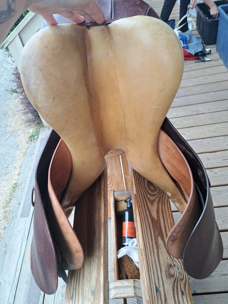 17.5" Collegiate Ruiz Diaz All Purpose English Saddle