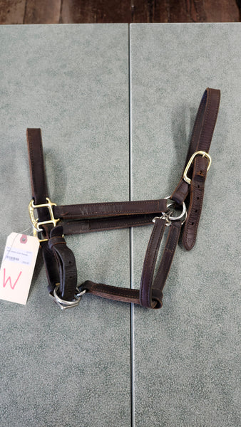 Perri Leather Halter