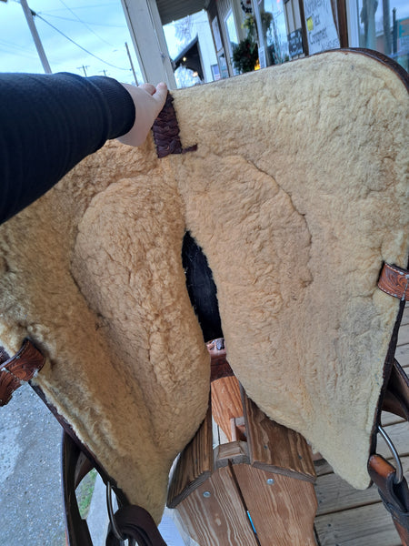 15" Billy Cook Longhorn Western Equitation Show Saddle