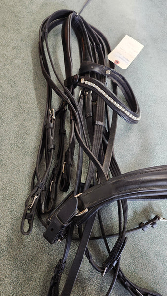 Vespucci Double Bridle