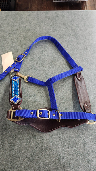 New Bronc Halter