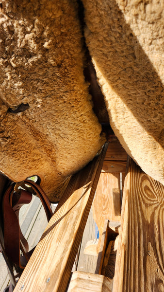 16" Colorado Saddlery Western Saddle