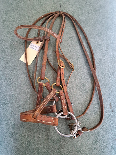 Hybrid Training Bridle