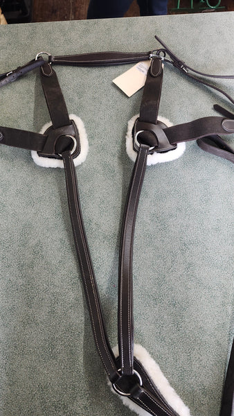 XF Equinavia saga 5-Point Breastplate