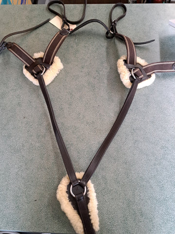 5 Point Breastplate