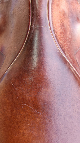 16.5" Collegiate Art Close Contact Saddle