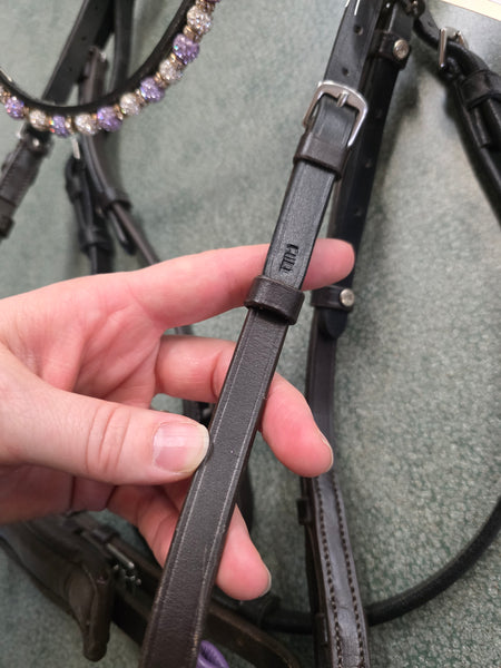 Custom Dressage Bridle