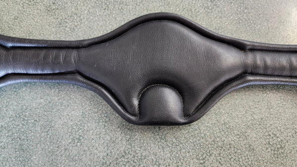 New Passier Blu Girth 26"