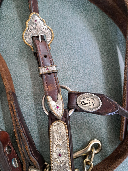 Circle Y Show Halter