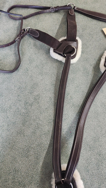 XF Equinavia saga 5-Point Breastplate