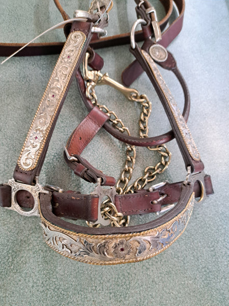 Circle Y Show Halter