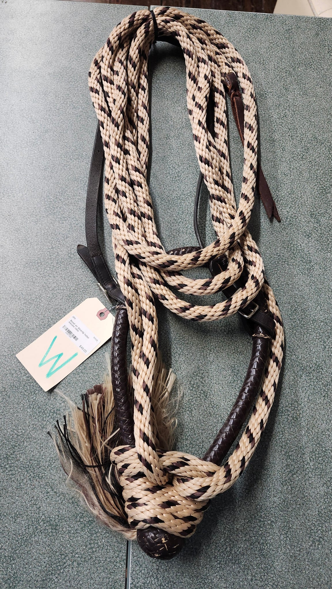 Bosal With silvertip halter and Mecate Reins