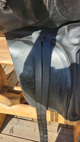 17" Ainsley pro National Dressage