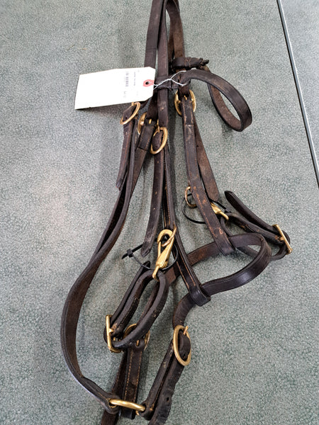 Leather Halter Bridle