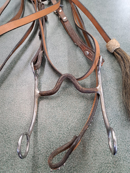 Single Ear Show Bridle Set