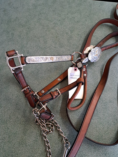 Broken Horn Show Halter-Average Horse