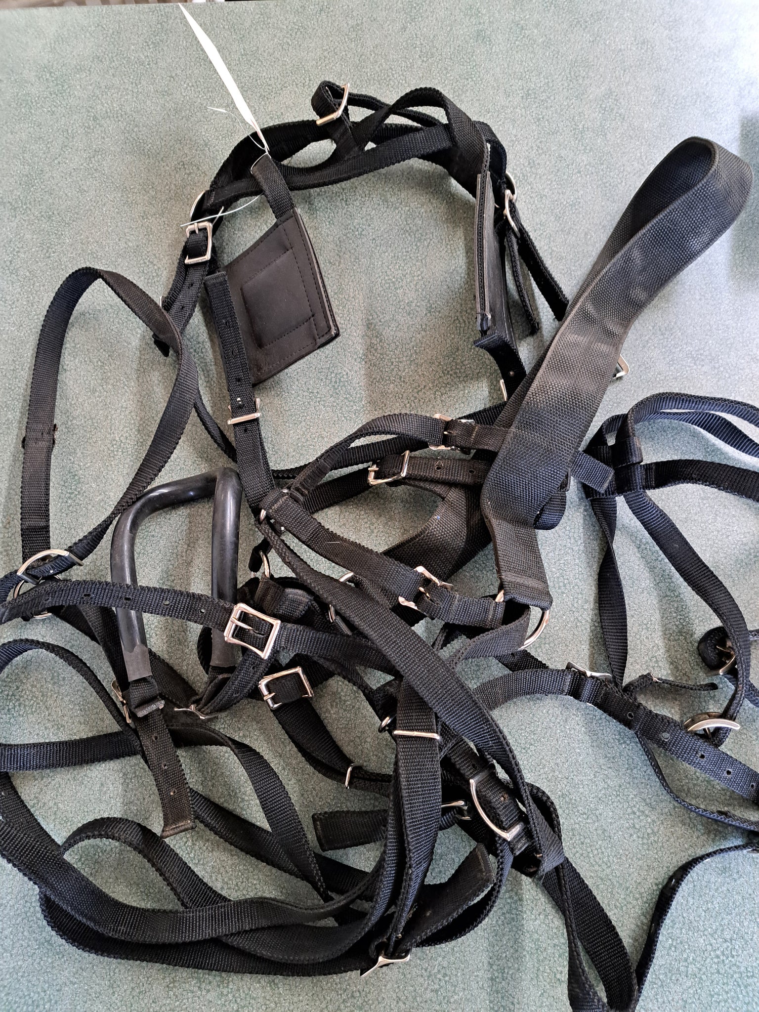 Pony Harness