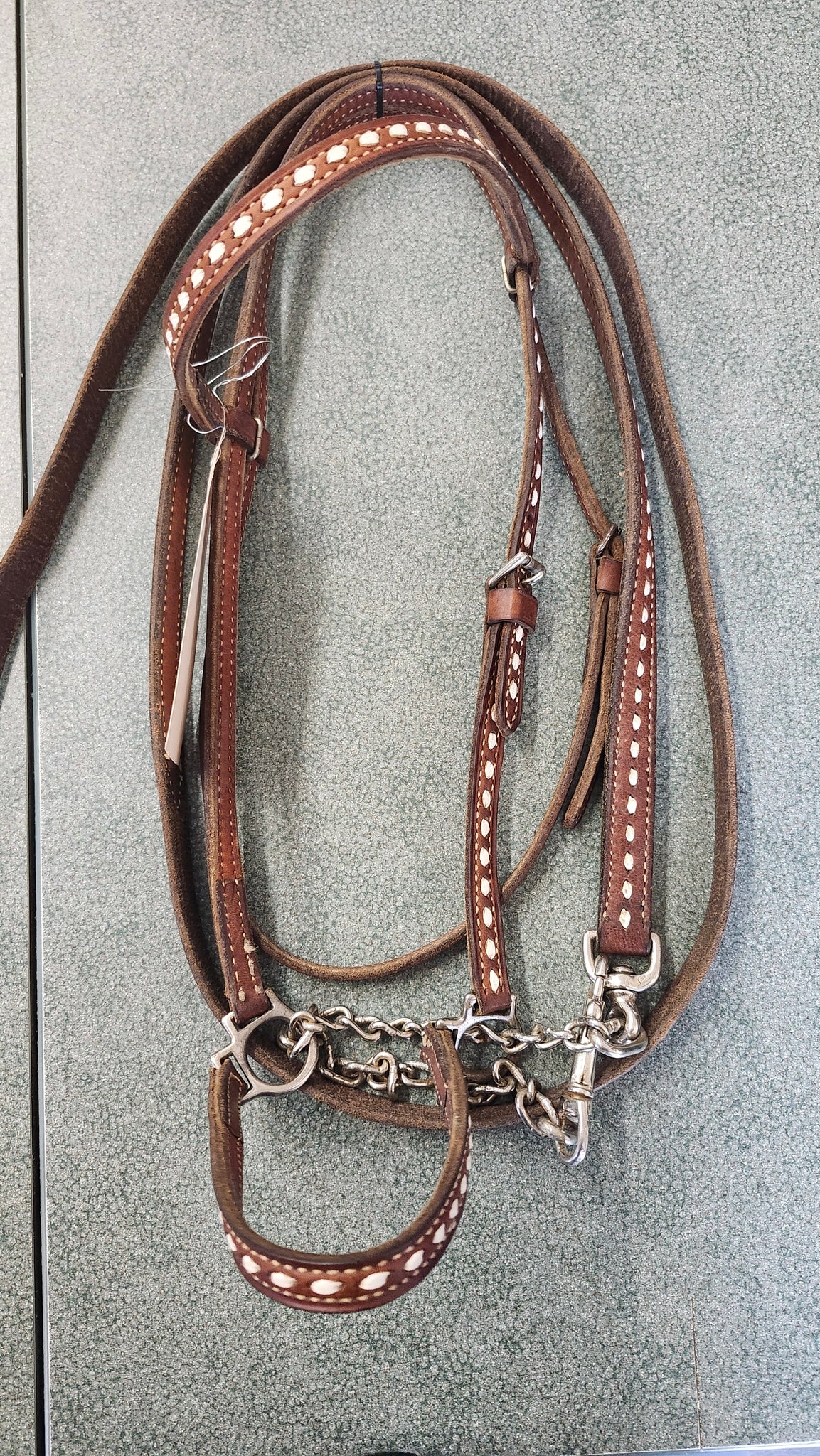 Circle Y Arabian Show Halter With Lead
